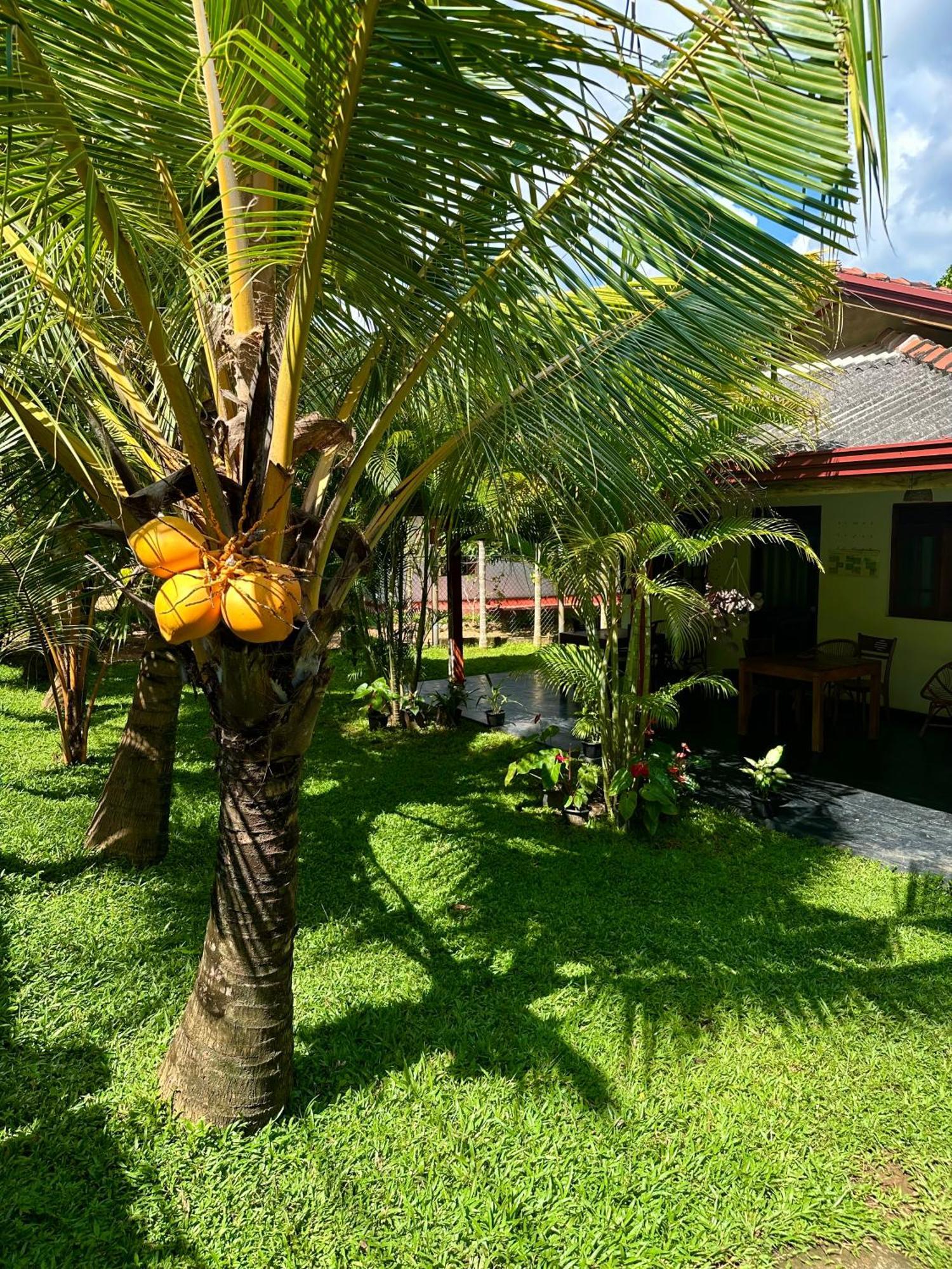 Jasmin Homestay Marakolliya Tangalle Kültér fotó