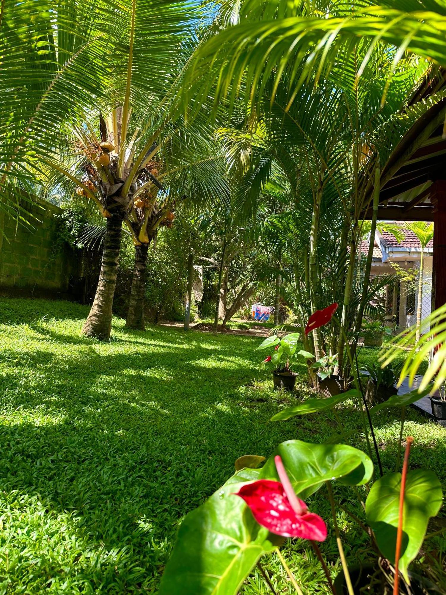 Jasmin Homestay Marakolliya Tangalle Kültér fotó