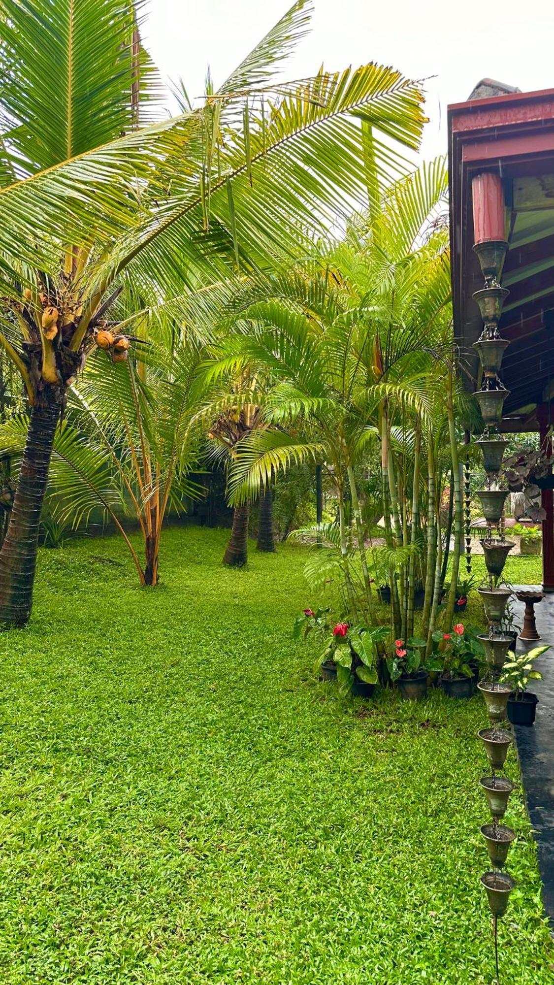 Jasmin Homestay Marakolliya Tangalle Kültér fotó