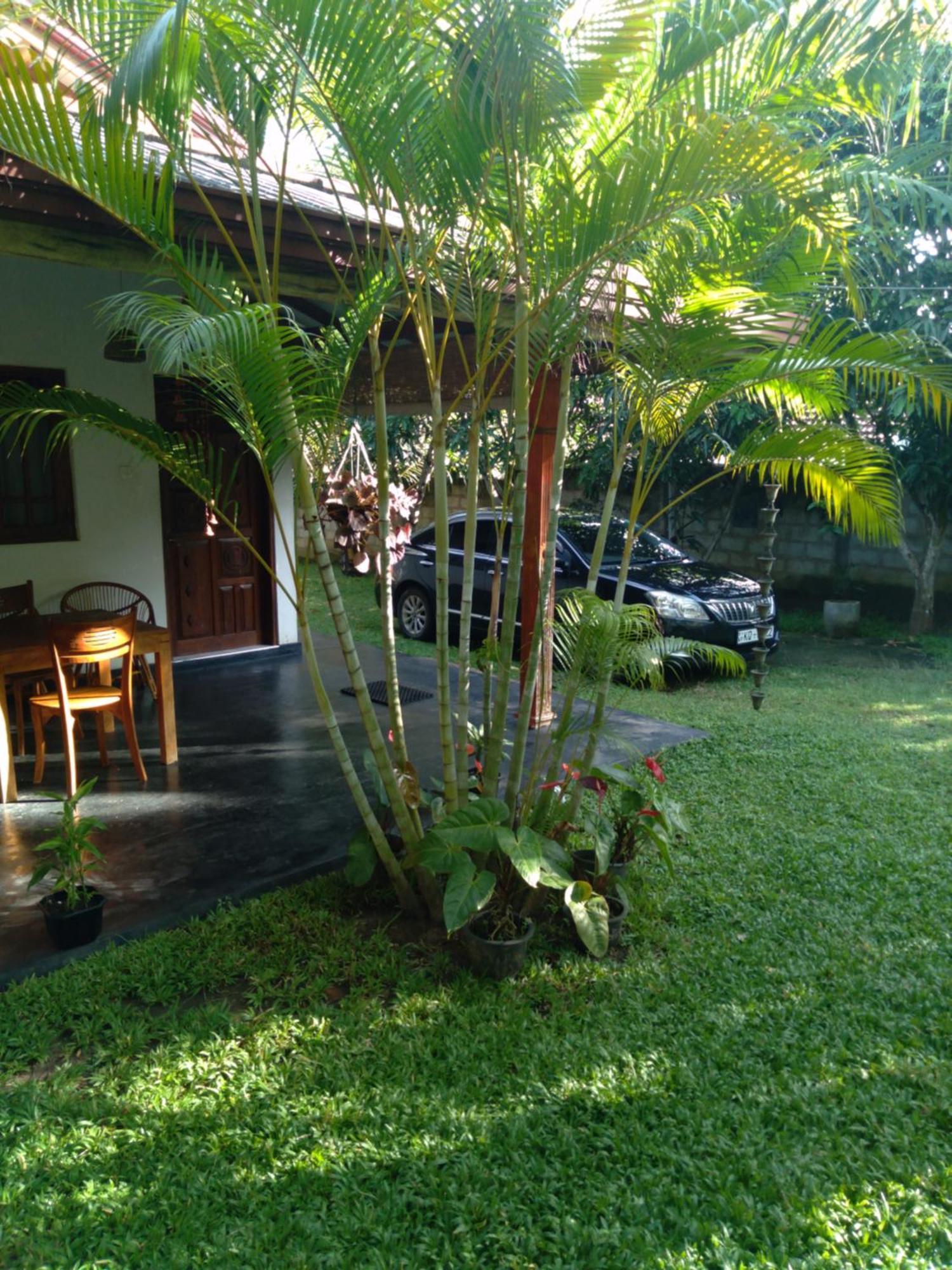 Jasmin Homestay Marakolliya Tangalle Kültér fotó