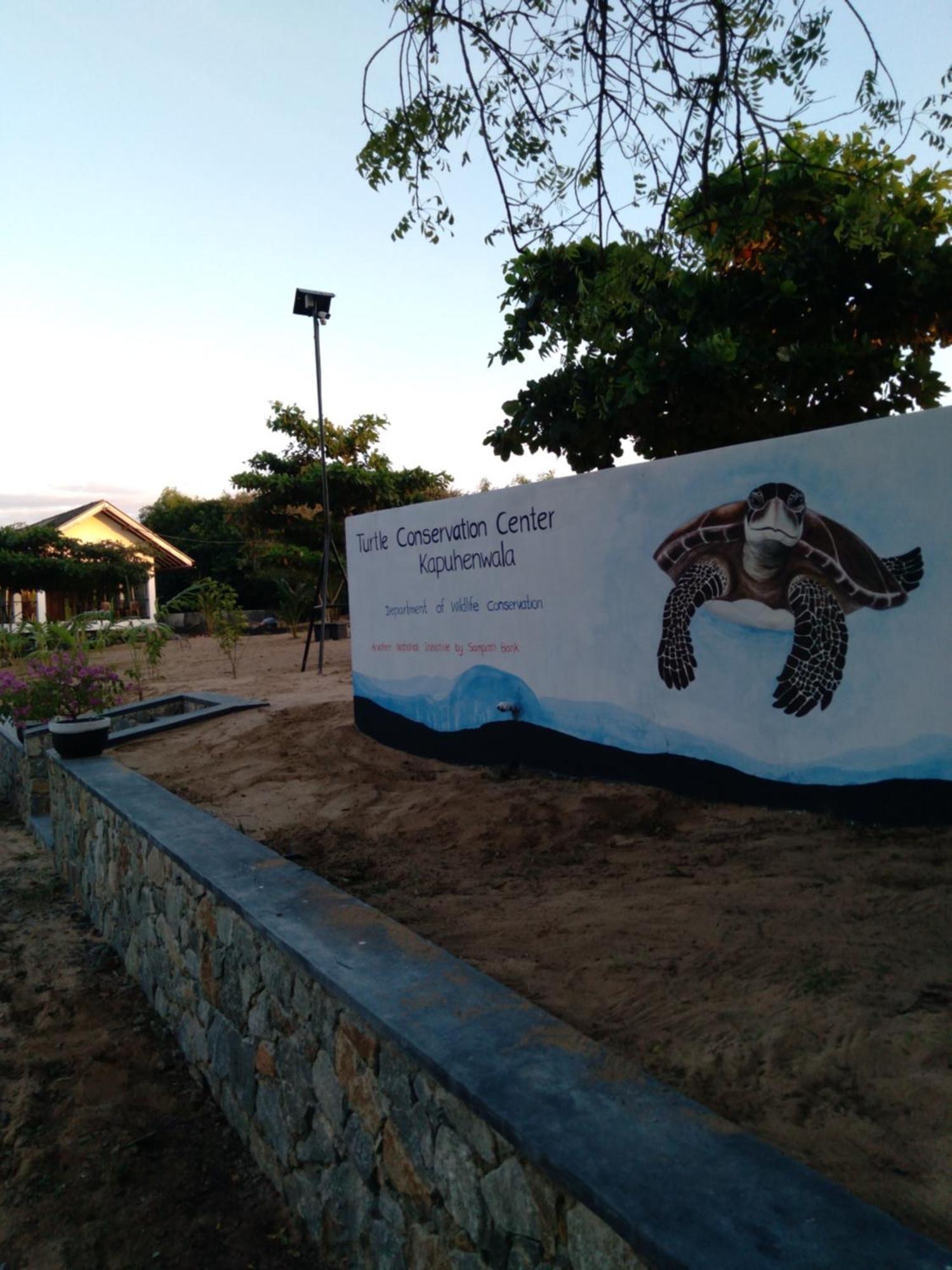Jasmin Homestay Marakolliya Tangalle Kültér fotó